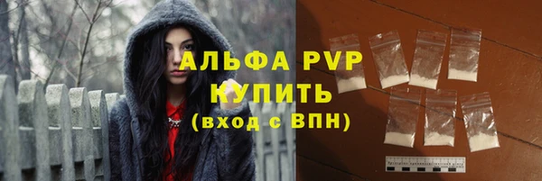 крисы Богородицк