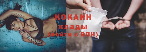 гидра Богданович