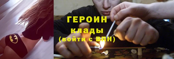 гидра Богданович
