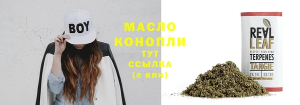 гидра Богданович