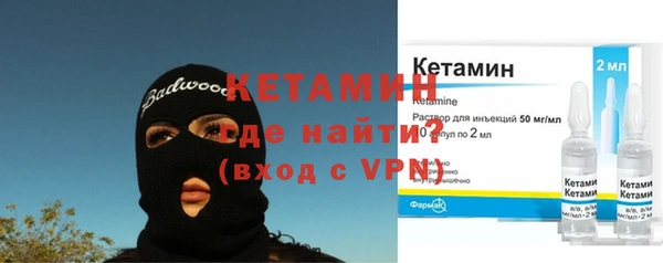 крисы Богородицк