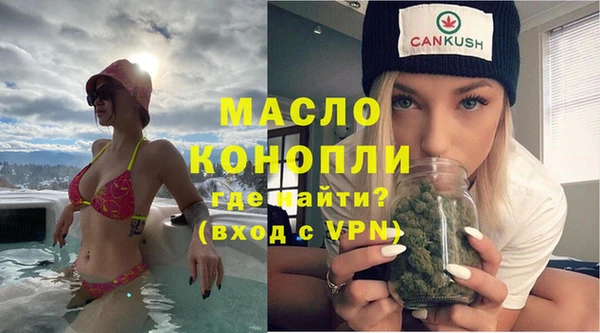 гидра Богданович
