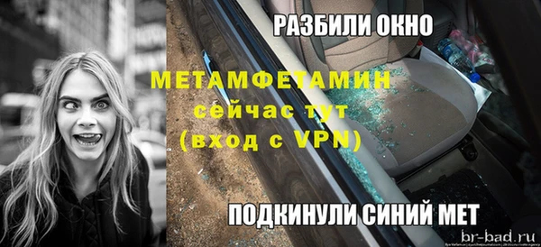 крисы Богородицк