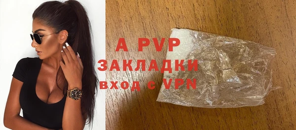 гидра Богданович