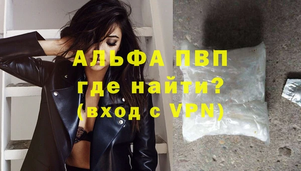 гидра Богданович