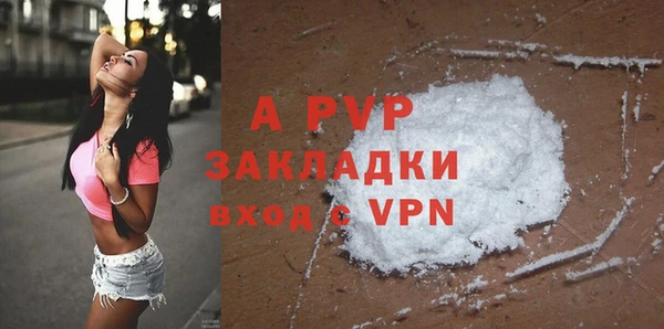 гидра Богданович