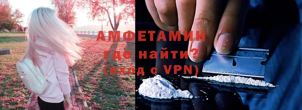 гидра Богданович