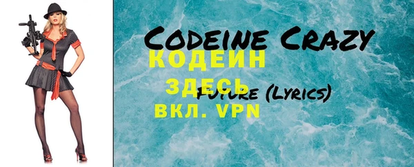 крисы Богородицк