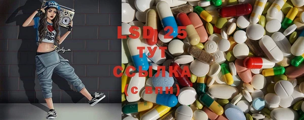 гидра Богданович